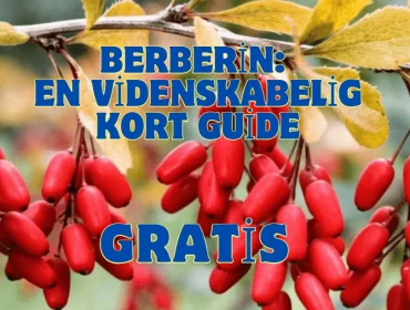 Berberin