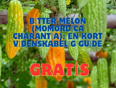 Bitter Melon